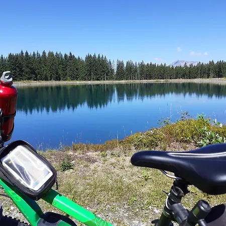 Appartement Haus Thaler Reith im Alpbachtal