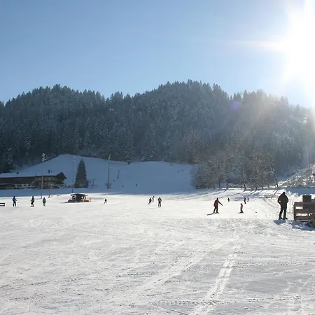 Apartamento Haus Thaler Reith im Alpbachtal