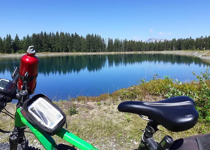 Appartement Haus Thaler Reith im Alpbachtal