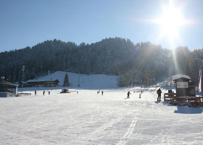 Appartement Haus Thaler Reith im Alpbachtal